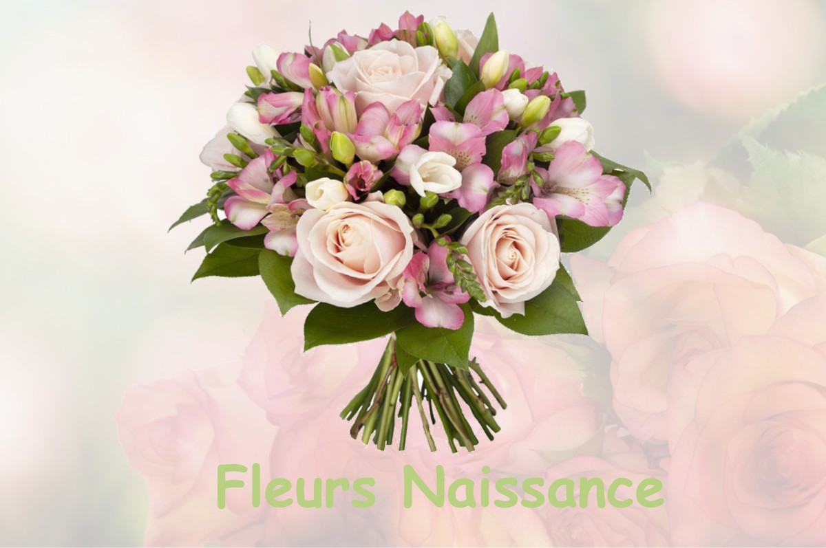 fleurs naissance LA-VILLENEUVE-LES-CONVERS