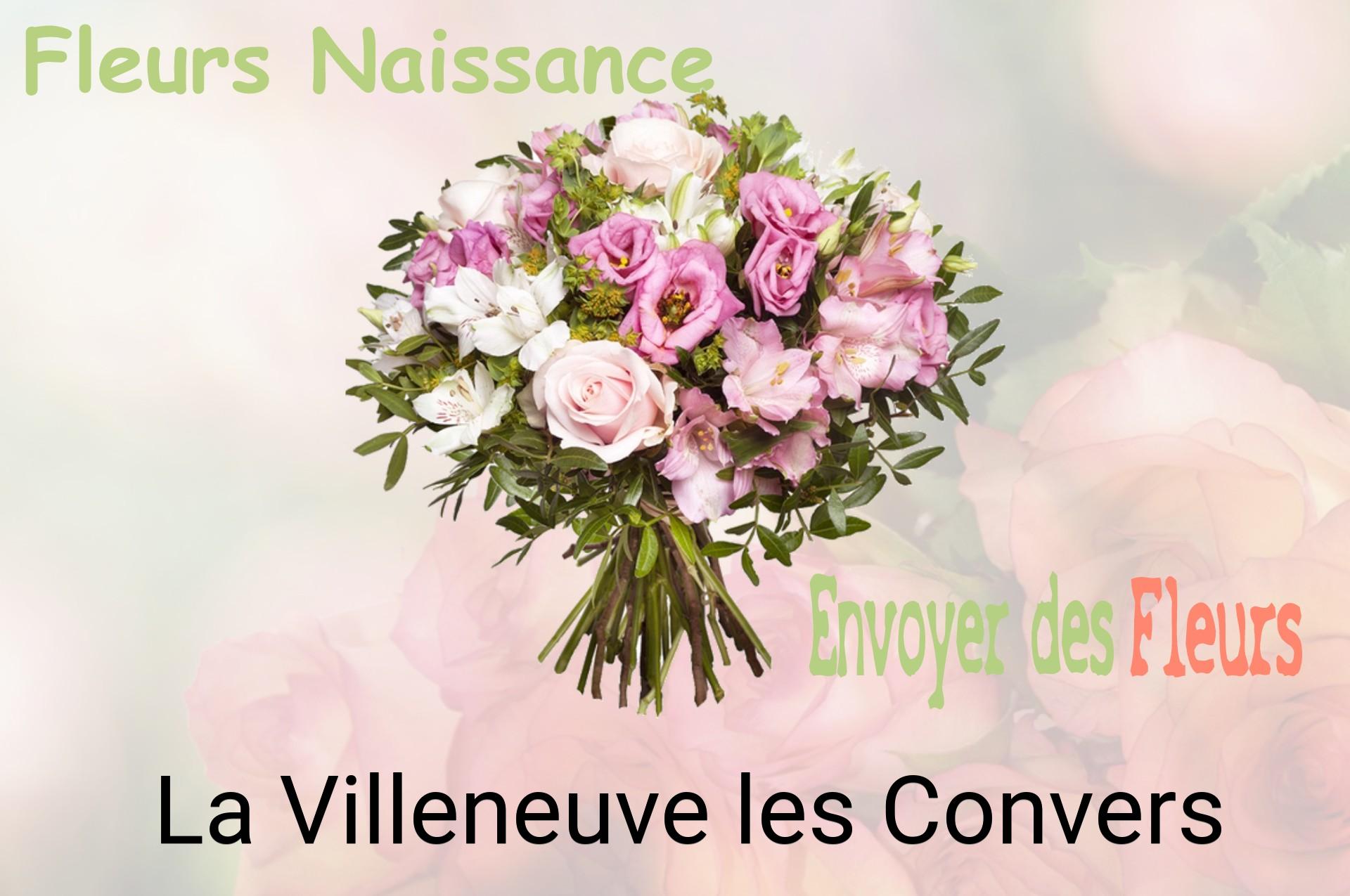 Bouquet de fleurs de naissance livré à La Villeneuve-les-Convers