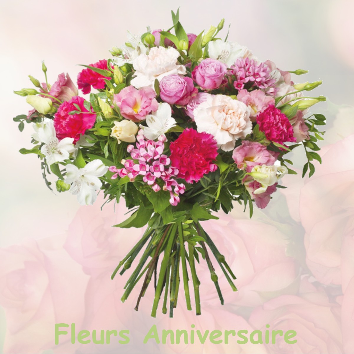 fleurs anniversaire LA-VILLENEUVE-LES-CONVERS